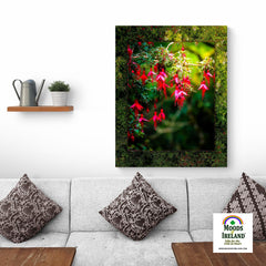 Canvas Wrap - Vibrant Fuchsias on a Hillside, County Clare - James A. Truett - Moods of Ireland - Irish Art