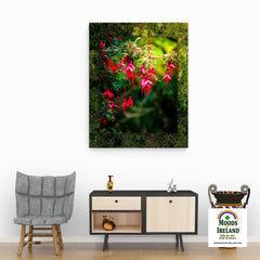 Canvas Wrap - Vibrant Fuchsias on a Hillside, County Clare - James A. Truett - Moods of Ireland - Irish Art