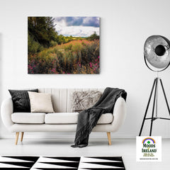 Canvas Wrap - Great Willowherb Wildflower Explosion, County Clare - Moods of Ireland