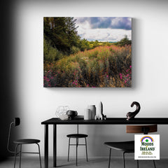 Canvas Wrap - Great Willowherb Wildflower Explosion, County Clare - Moods of Ireland