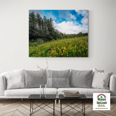 Canvas Wrap - Field of Buttercups in Spring, County Clare - James A. Truett - Moods of Ireland - Irish Art