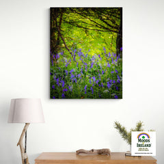 Canvas Wrap - Irish Bluebells in Clondegad Wood, County Clare - James A. Truett - Moods of Ireland - Irish Art