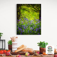 Canvas Wrap - Irish Bluebells in Clondegad Wood, County Clare - James A. Truett - Moods of Ireland - Irish Art