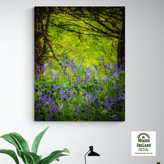 Canvas Wrap - Irish Bluebells in Clondegad Wood, County Clare - James A. Truett - Moods of Ireland - Irish Art