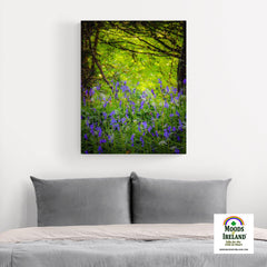 Canvas Wrap - Irish Bluebells in Clondegad Wood, County Clare - James A. Truett - Moods of Ireland - Irish Art