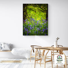 Canvas Wrap - Irish Bluebells in Clondegad Wood, County Clare - James A. Truett - Moods of Ireland - Irish Art