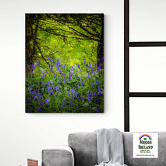 Canvas Wrap - Irish Bluebells in Clondegad Wood, County Clare - James A. Truett - Moods of Ireland - Irish Art