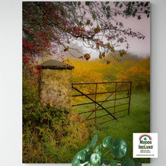 Canvas Wrap - Gate to Misty Irish Autumn in County Clare - James A. Truett - Moods of Ireland - Irish Art