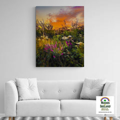 Canvas Wrap - Purple Loosestrife blooming along a Roadside at Sunrise, County Clare - James A. Truett - Moods of Ireland - Irish Art