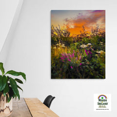 Canvas Wrap - Purple Loosestrife blooming along a Roadside at Sunrise, County Clare - James A. Truett - Moods of Ireland - Irish Art