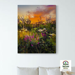 Canvas Wrap - Purple Loosestrife blooming along a Roadside at Sunrise, County Clare - James A. Truett - Moods of Ireland - Irish Art