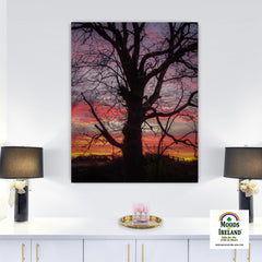 Canvas Wrap - Irish Sunrise and Hibernating Tree - James A. Truett - Moods of Ireland - Irish Art