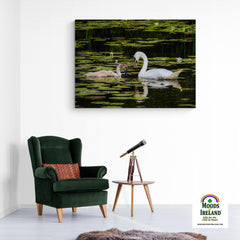 Canvas Wrap - Swan and Cygnet in Dromoland Lough, County Clare - James A. Truett - Moods of Ireland - Irish Art
