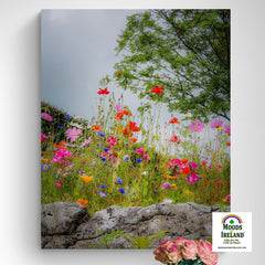 Canvas Wrap - Wildflowers in Limestone Bed, County Clare - James A. Truett - Moods of Ireland - Irish Art