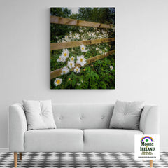 Canvas Wrap - Japanese Anemones in the Irish Countryside - James A. Truett - Moods of Ireland - Irish Art