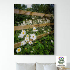 Canvas Wrap - Japanese Anemones in the Irish Countryside - James A. Truett - Moods of Ireland - Irish Art