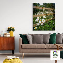 Canvas Wrap - Japanese Anemones in the Irish Countryside - James A. Truett - Moods of Ireland - Irish Art