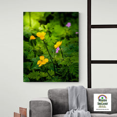 Canvas Wrap - Wildflowers in Filtered Sunlight, Ballylee, County Galway - James A. Truett - Moods of Ireland - Irish Art