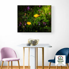 Canvas Wrap - Buttercups and other Wildflowers, County Clare - James A. Truett - Moods of Ireland - Irish Art