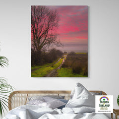 Canvas Wrap - Sunrise over Decomade Meadow, County Clare - James A. Truett - Moods of Ireland - Irish Art