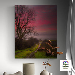 Canvas Wrap - Sunrise over Decomade Meadow, County Clare - James A. Truett - Moods of Ireland - Irish Art