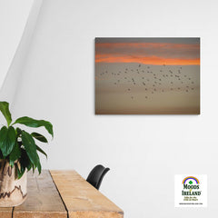 Canvas Wrap - Starlings at Sunset over County Clare - James A. Truett - Moods of Ireland - Irish Art