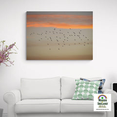 Canvas Wrap - Starlings at Sunset over County Clare - James A. Truett - Moods of Ireland - Irish Art