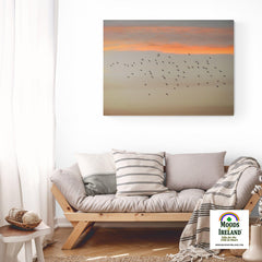 Canvas Wrap - Starlings at Sunset over County Clare - James A. Truett - Moods of Ireland - Irish Art