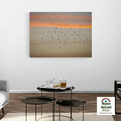 Canvas Wrap - Starlings at Sunset over County Clare - James A. Truett - Moods of Ireland - Irish Art