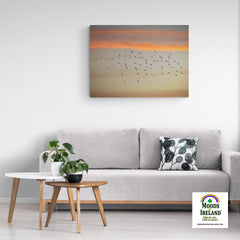 Canvas Wrap - Starlings at Sunset over County Clare - James A. Truett - Moods of Ireland - Irish Art