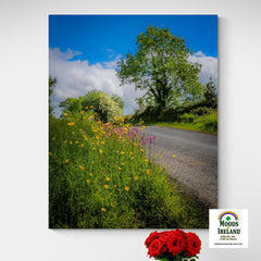 Canvas Wrap - Wildflowers of Liscormick, County Clare - James A. Truett - Moods of Ireland - Irish Art