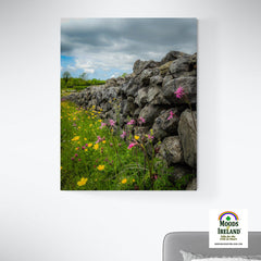 Canvas Wrap - Kildysart Buttercups & Ragged Robin against Stone Wall, County Clare - James A. Truett - Moods of Ireland - Irish Art