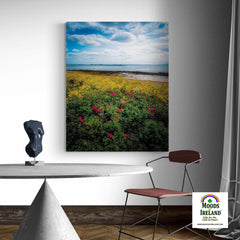 Canvas Wrap - Summer Wildflowers on Galway Bay - James A. Truett - Moods of Ireland - Irish Art