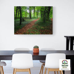 Canvas Wrap - Trail in Coole Park, County Galway - James A. Truett - Moods of Ireland - Irish Art