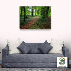 Canvas Wrap - Trail in Coole Park, County Galway - James A. Truett - Moods of Ireland - Irish Art