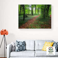 Canvas Wrap - Trail in Coole Park, County Galway - James A. Truett - Moods of Ireland - Irish Art