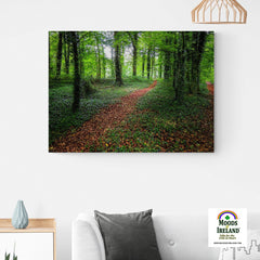 Canvas Wrap - Trail in Coole Park, County Galway - James A. Truett - Moods of Ireland - Irish Art