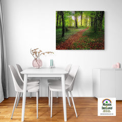Canvas Wrap - Pathway to Spring, Coole Park, County Galway - James A. Truett - Moods of Ireland - Irish Art