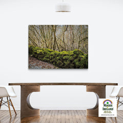 Canvas Wrap - Moss-covered Rock Wall at Coole Park, County Galway - James A. Truett - Moods of Ireland - Irish Art