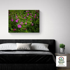 Canvas Wrap - Great Willowherb Blossoms in the Irish Countryside - James A. Truett - Moods of Ireland - Irish Art