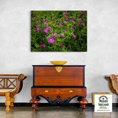 Canvas Wrap - Great Willowherb Blossoms in the Irish Countryside - James A. Truett - Moods of Ireland - Irish Art