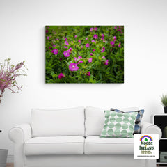 Canvas Wrap - Great Willowherb Blossoms in the Irish Countryside - James A. Truett - Moods of Ireland - Irish Art