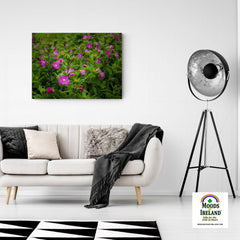 Canvas Wrap - Great Willowherb Blossoms in the Irish Countryside - James A. Truett - Moods of Ireland - Irish Art