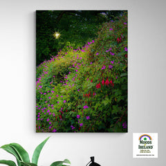 Canvas Wrap - Roadside Cascade of Irish Wildflowers in Afternoon Sun - James A. Truett - Moods of Ireland - Irish Art