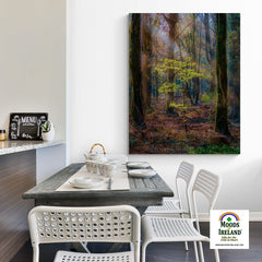 Canvas Wrap - Misty Irish Spring Forest in Coole Park, County Galway - James A. Truett - Moods of Ireland - Irish Art