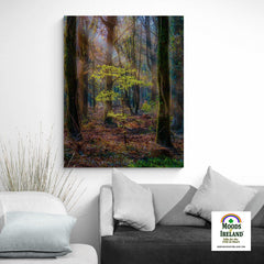 Canvas Wrap - Misty Irish Spring Forest in Coole Park, County Galway - James A. Truett - Moods of Ireland - Irish Art