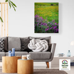 Canvas Wrap - Irish Countryside Summer Wildflower Meadow - James A. Truett - Moods of Ireland - Irish Art