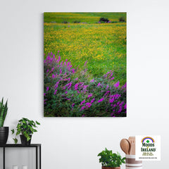 Canvas Wrap - Irish Countryside Summer Wildflower Meadow - James A. Truett - Moods of Ireland - Irish Art