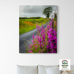 Canvas Wrap - Wildflower-lined Irish Country Road, County Clare - James A. Truett - Moods of Ireland - Irish Art