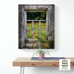 Canvas Wrap - Irish Wildflower Meadow framed by Weathered Window, County Clare - James A. Truett - Moods of Ireland - Irish Art